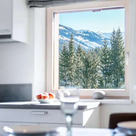 Gamsraute Apartment Wildschoenau